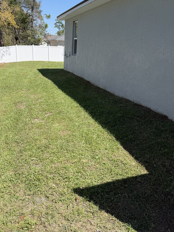 Side yard maintenance