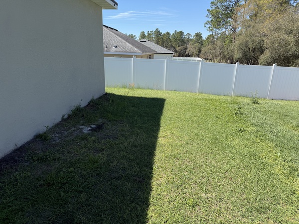 Side yard near fence